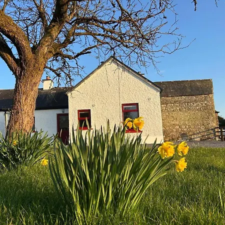Orchard Near Glasson Village 別荘 アスローン