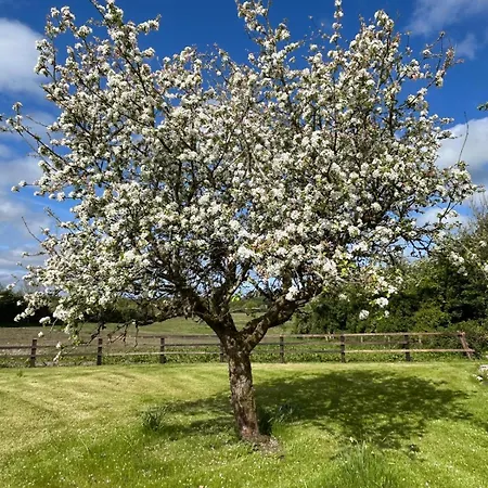 Casa de Férias Orchard Near Glasson Village Athlone