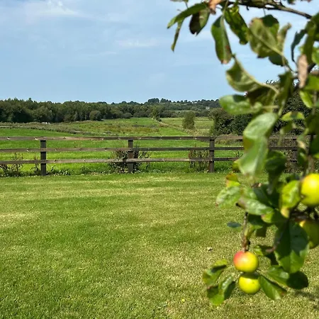 Orchard Near Glasson Village Casa de Férias *