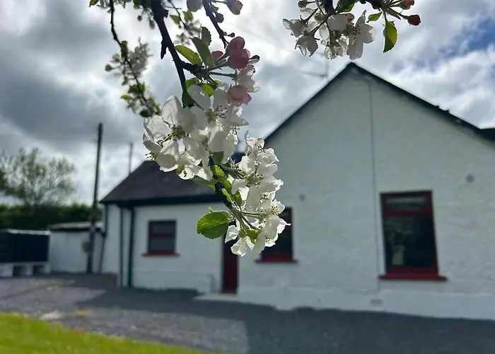 Near Glasson Village *