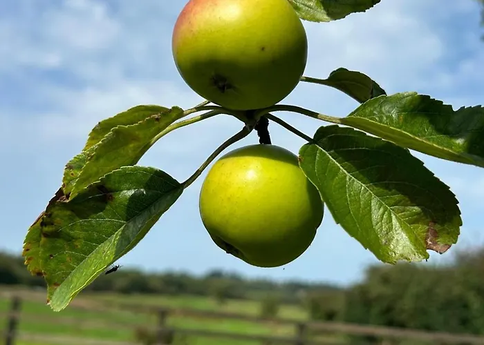 Near Glasson Village 阿斯隆