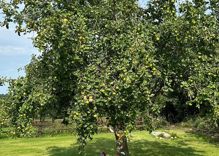 Near Glasson Village 阿斯隆